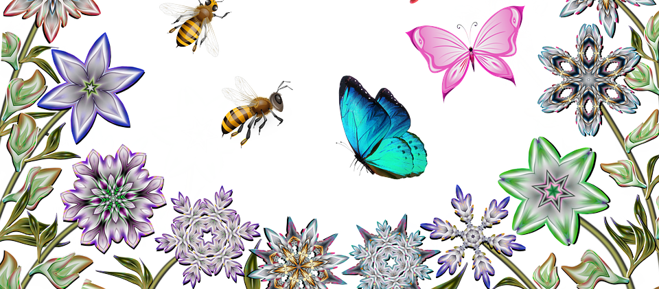 Bees & Butterflies.png